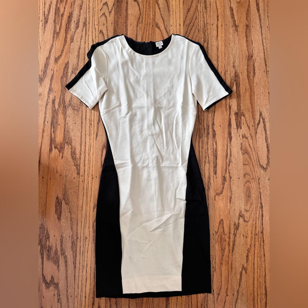 Wilfred Aritzia Dress